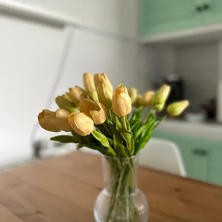 شقة Your Holidays بلاتجا ذارو