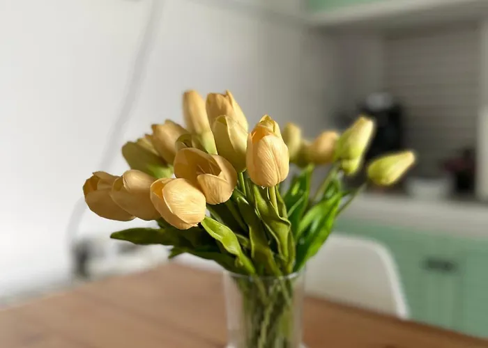 Appartamento Your Holidays Platja d'Aro